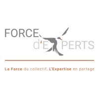 Force dExperts Logo