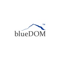 blueDOM AG Logo
