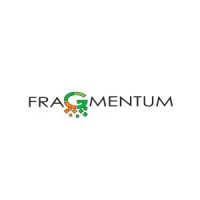 Fragmentum Logo