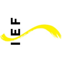 Institut für systemische Entwicklung und Fortbildung, IEF Zürich Logo