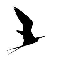Today Zurich AG Logo