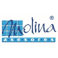 MolinAsesores Logo