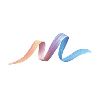 IP Flow Logo