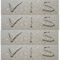 Vis MOCS Logo