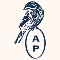 August Point Advisors Logo