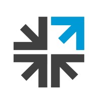 Net Looking Logo
