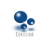 Consilium SRL Logo