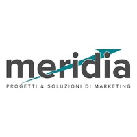 Meridia Team Logo