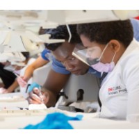 UMB CURE Scholars Program Logo