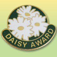 The DAISY Foundation Logo