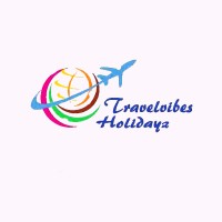 Travelvibes Holidayz Logo