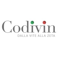 Codivin S.r.l. Logo