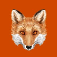 FREIHEIT STUDIO Logo