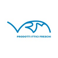 VRM srl Logo
