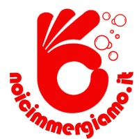 NOICIMMERGIAMO Logo
