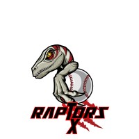 Texas Raptors Logo
