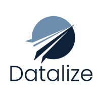 Datalize Logo