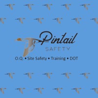 Pintail Safety, LLC Logo