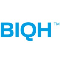 BIQH Financial Data Services Logo