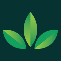 Mint Condition Inc. Logo
