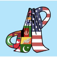 The Desi Project Logo