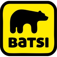 BATSI Solutions Logo