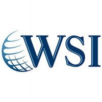 WSI Easy Net Logo