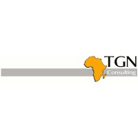 TGN Consulting Logo