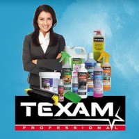 TEXAM INTERNATIONAL Logo