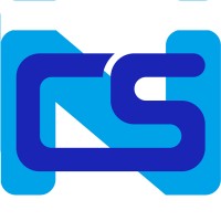Nemeth Consulting Services Logo