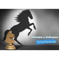 Manejos y Enfoques, Consultores NG Logo