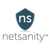 Netsanity, Inc. Logo