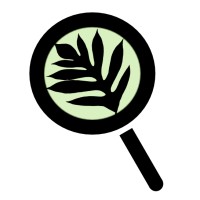 SEEQS: the School for Examining Essential Questions of Sustainability Logo
