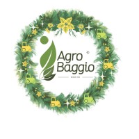 Agro Baggio Máquinas Agrícolas LTDA Logo