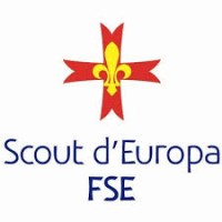 Scout dEuropa - FSE Logo