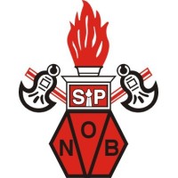 Grupo Novo Brasil Logo