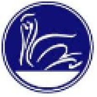 Pelican Technology Partners Logo