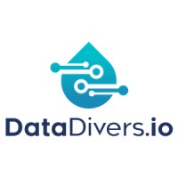 DataDivers.io Logo