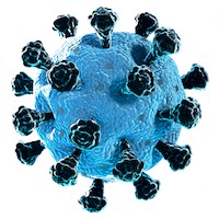The Lancet COVID-19 Commission Logo