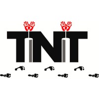 TNT Consulting Firm, LLC Logo