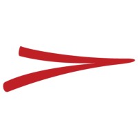 Delivery First Logo