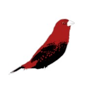 Strawberry Finch Games LLC Logo