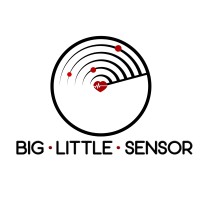 Big Little Sensor Company Logo