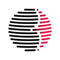 BNPS International Logo