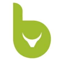 bull markets media GmbH Logo