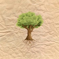 Root of Everything Logo
