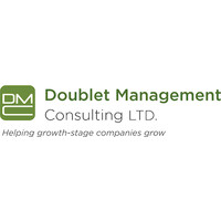 Doublet Management Consulting Logo