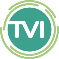 Travel Vector Index Logo