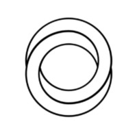 Perfect Loop Technologies L.L.C. Logo