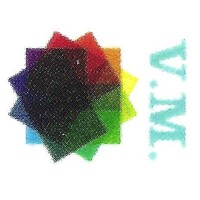 Vision Meditech Group Logo